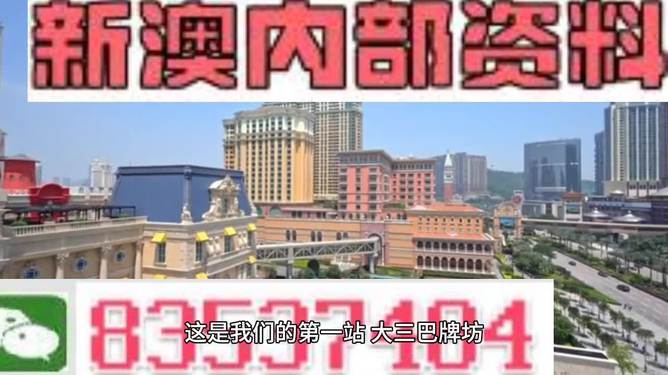 2024新澳精准正版资料,预测分析解释定义_特供版74.223