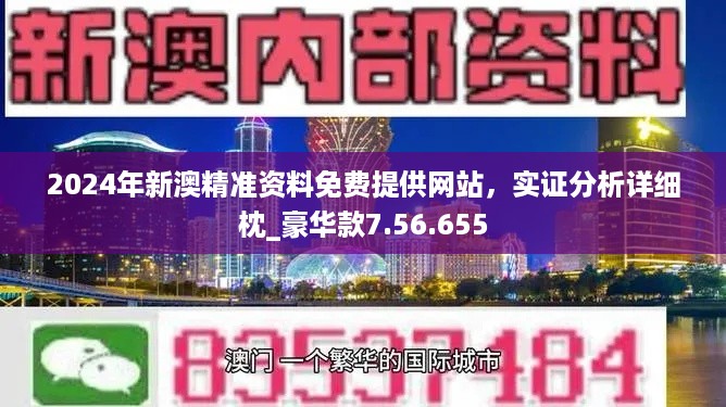 2024新澳正版免费资料,数据支持计划解析_Phablet23.996