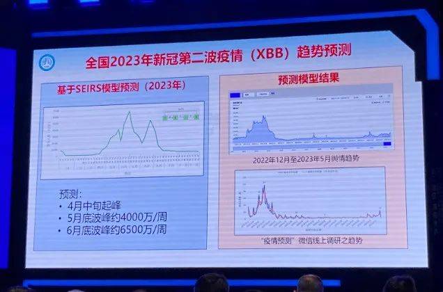 2024最近爆发的病毒,数据分析驱动设计_挑战版61.670