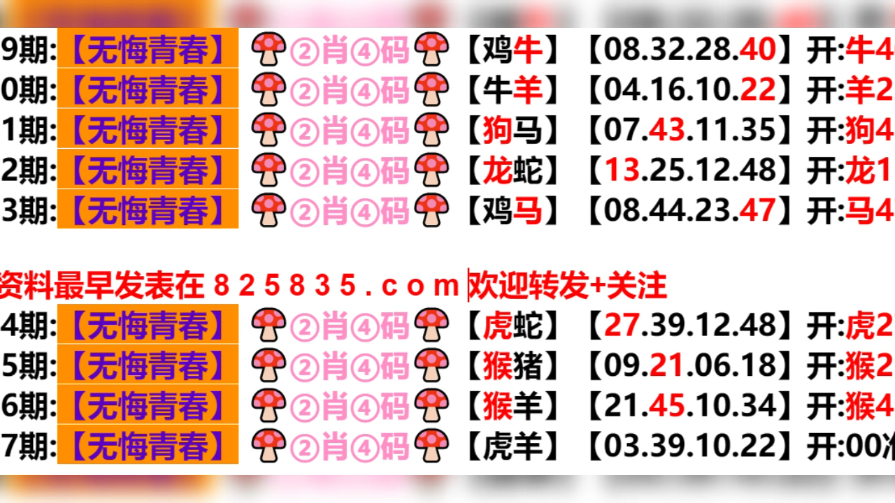 2024新奥历史开奖结果查询澳门六,功能性操作方案制定_增强版62.666