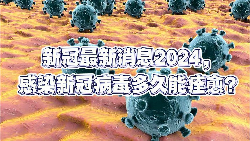 新冠病毒2024年最新消息,精细解析评估_网红版77.22