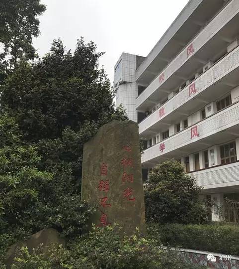 股东信息 第48页