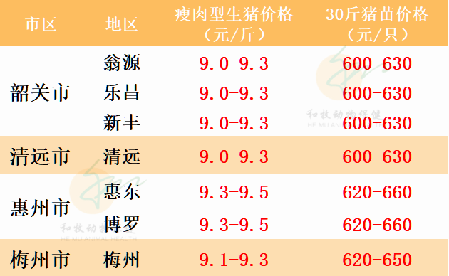 广东今日猪价涨跌分析摘要