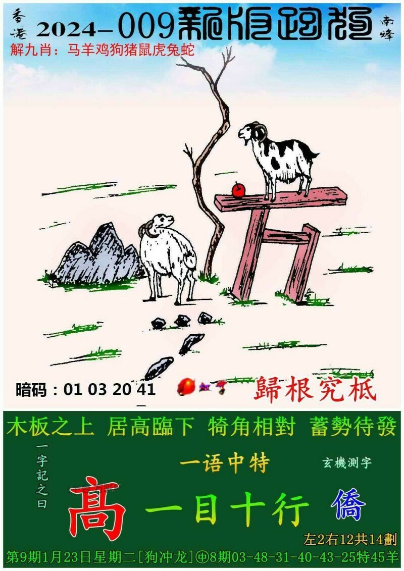 探索全新跑狗图，2017年最新版体验揭秘