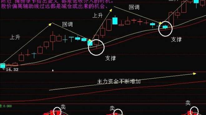 绿色未来展望，清新环境利好最新消息揭秘