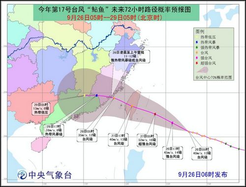 今年5号台风最新动态，影响与应对策略